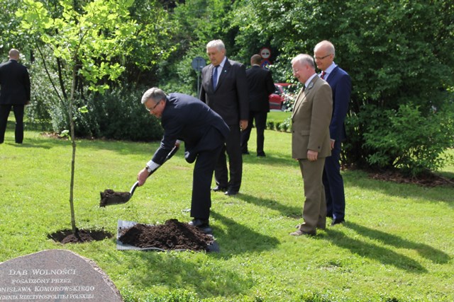 The President of Poland Bronisław Komorowski plants the oak of freedom